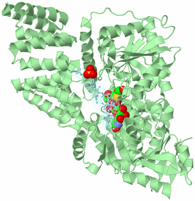 Image Biological Unit 2