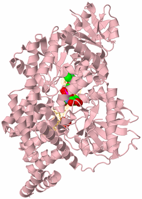 Image Biological Unit 3