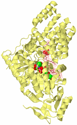 Image Biological Unit 4