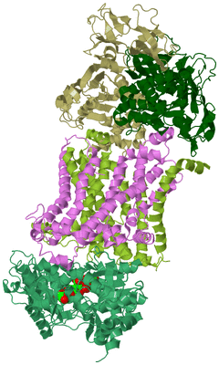 Image Asym./Biol. Unit