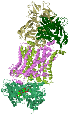 Image Asym./Biol. Unit - sites