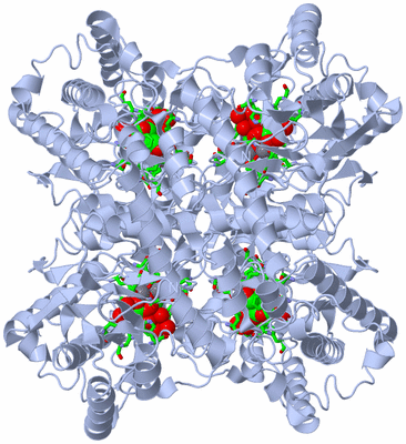 Image Biol. Unit 1 - sites