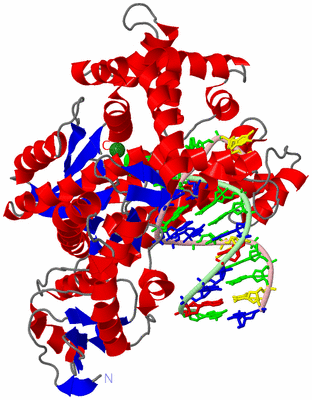 Image Asym./Biol. Unit