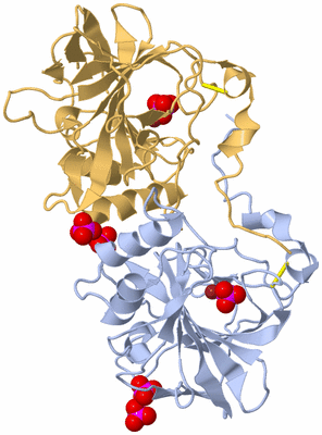 Image Biological Unit 1