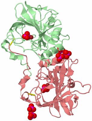 Image Biological Unit 2