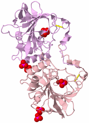 Image Biological Unit 3