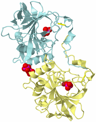 Image Biological Unit 4