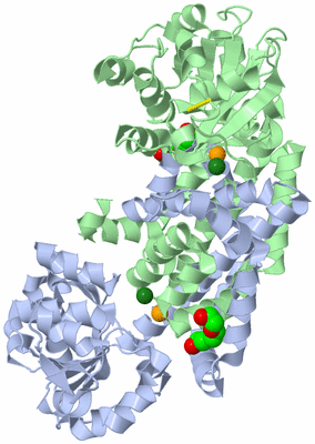 Image Biological Unit 1