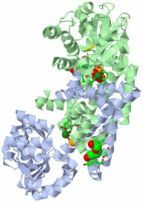 Image Biol. Unit 1 - sites