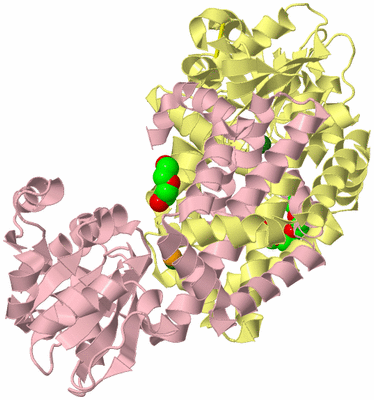 Image Biological Unit 2