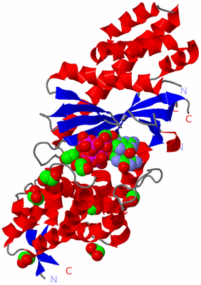 Image Asym./Biol. Unit