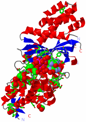 Image Asym./Biol. Unit - sites