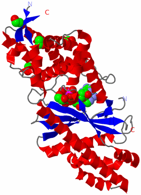 Image Asym./Biol. Unit