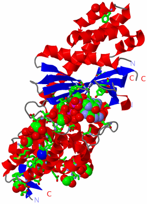 Image Asym./Biol. Unit - sites