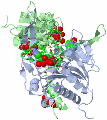 Image Biol. Unit 1 - sites