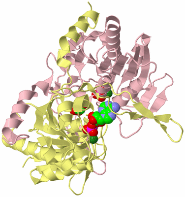 Image Biological Unit 2