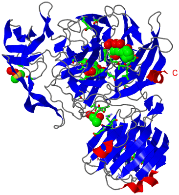 Image Asym./Biol. Unit - sites