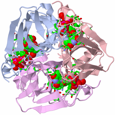 Image Biol. Unit 1 - sites