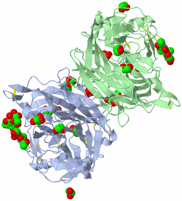 Image Asym./Biol. Unit