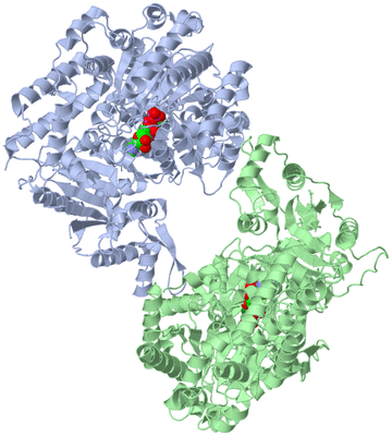 Image Asym./Biol. Unit