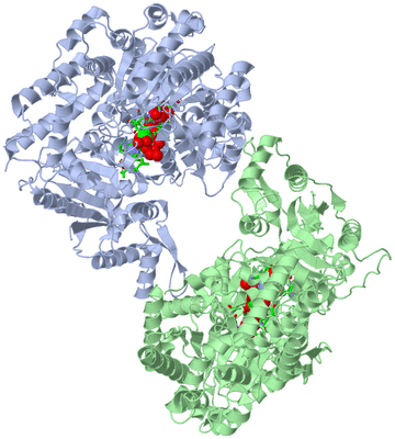 Image Asym./Biol. Unit - sites