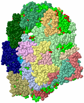 Image Biological Unit 1