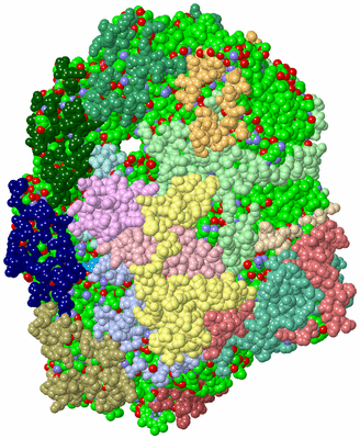 Image Biol. Unit 1 - sites