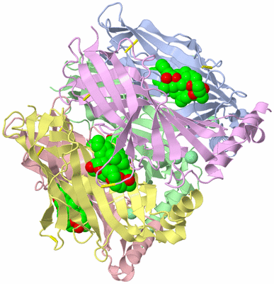 Image Biological Unit 1