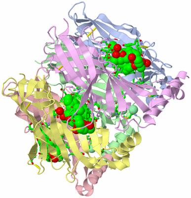 Image Biol. Unit 1 - sites