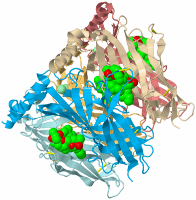 Image Biological Unit 2