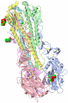 Image Biological Unit 1