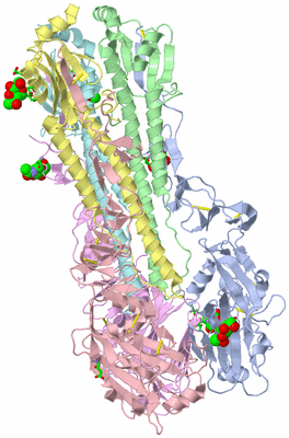 Image Biol. Unit 1 - sites