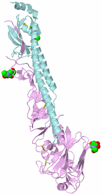 Image Biological Unit 4