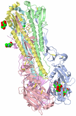 Image Biological Unit 1