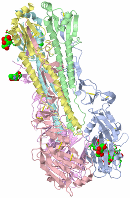 Image Biol. Unit 1 - sites