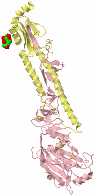 Image Biological Unit 3