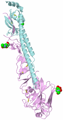 Image Biological Unit 4