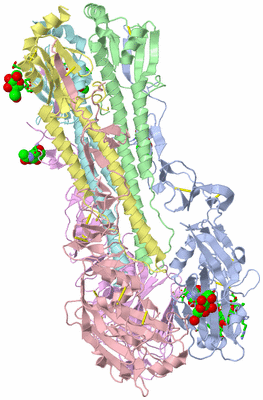 Image Asym./Biol. Unit - sites