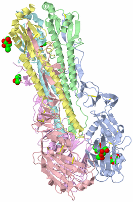 Image Biological Unit 1