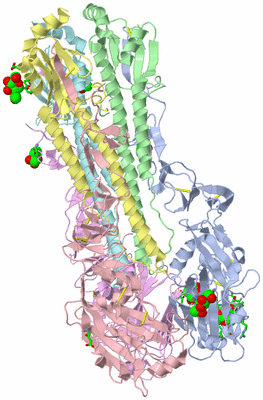 Image Biol. Unit 1 - sites