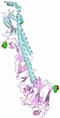 Image Biological Unit 4