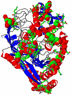 Image Asym./Biol. Unit - sites