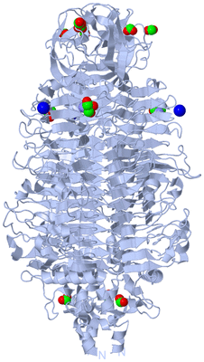 Image Biological Unit 1