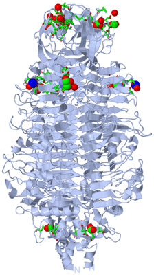 Image Biol. Unit 1 - sites