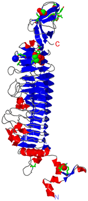 Image Asym. Unit - sites