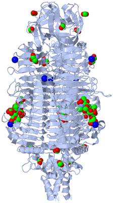 Image Biological Unit 1