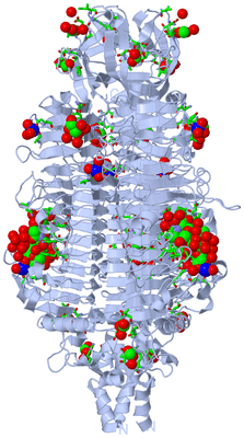 Image Biol. Unit 1 - sites