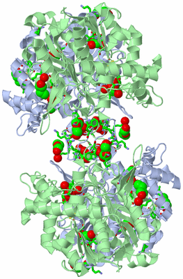 Image Biol. Unit 1 - sites