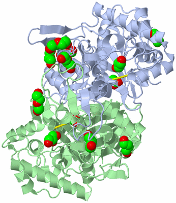 Image Biological Unit 2