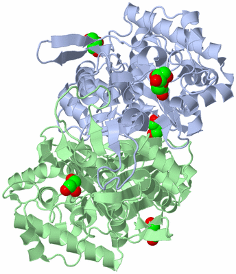 Image Asym./Biol. Unit